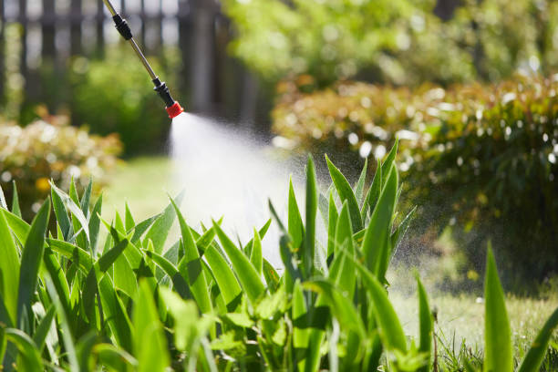 Tamper-Resistant Bait Stations for Rodents in Faribault