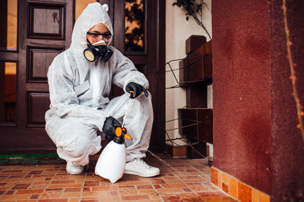 Attic and Crawl Space Rodent Treatment in Faribault
