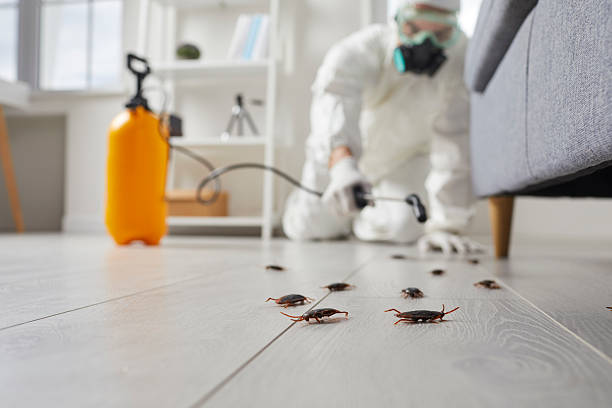 Commercial Rodent Management in Faribault